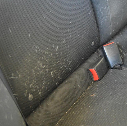 Dirty car seat
